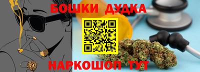 индика Кунгур