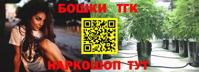 индика Кунгур