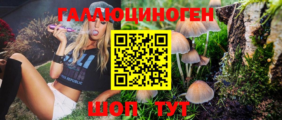 Псилоцибиновые грибы MAGIC MUSHROOMS Дербент