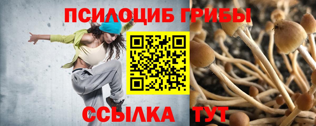 Дербент  Псилоцибиновые грибы Psilocybine cubensis  Вход с VPN 